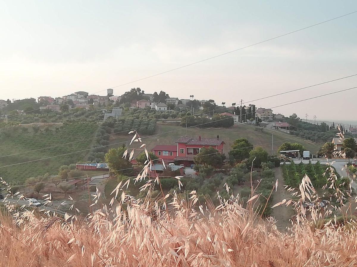 B&B Gli Amici Del Tubarello Roseto Degli Abruzzi Eksteriør bilde