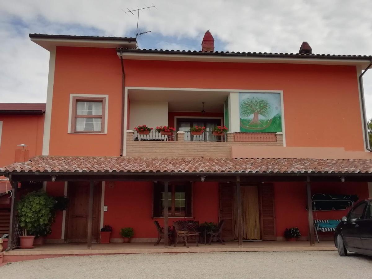 B&B Gli Amici Del Tubarello Roseto Degli Abruzzi Eksteriør bilde