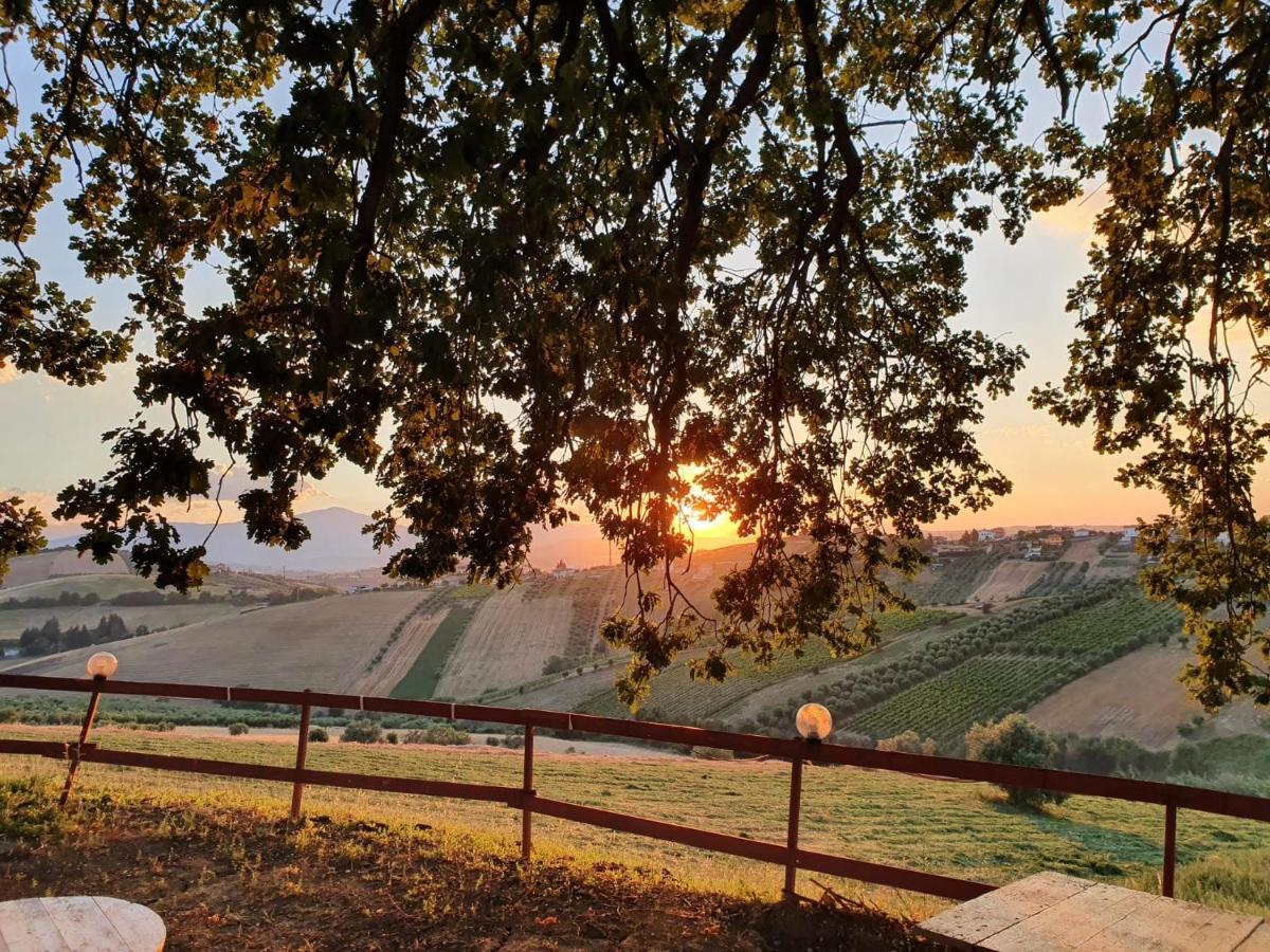 B&B Gli Amici Del Tubarello Roseto Degli Abruzzi Eksteriør bilde