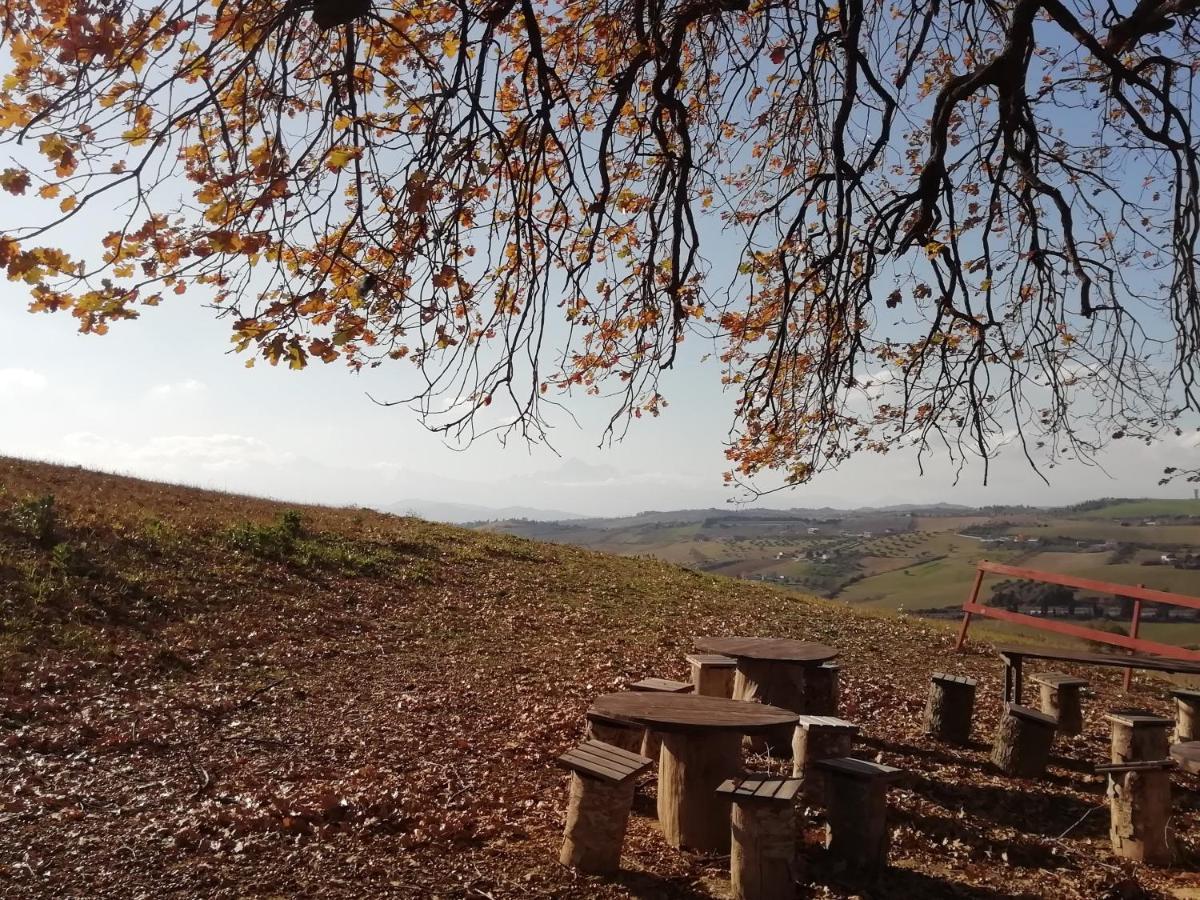 B&B Gli Amici Del Tubarello Roseto Degli Abruzzi Eksteriør bilde