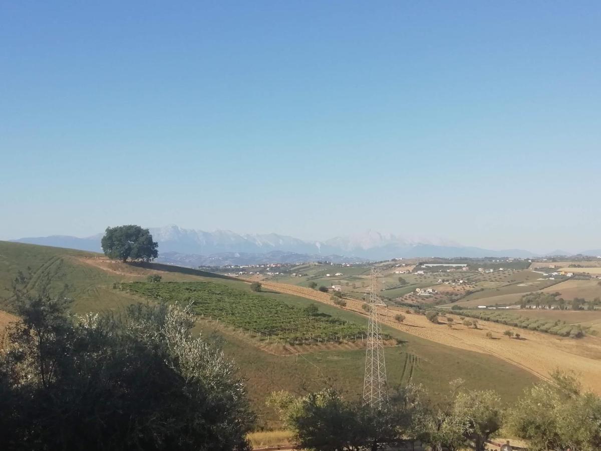B&B Gli Amici Del Tubarello Roseto Degli Abruzzi Eksteriør bilde