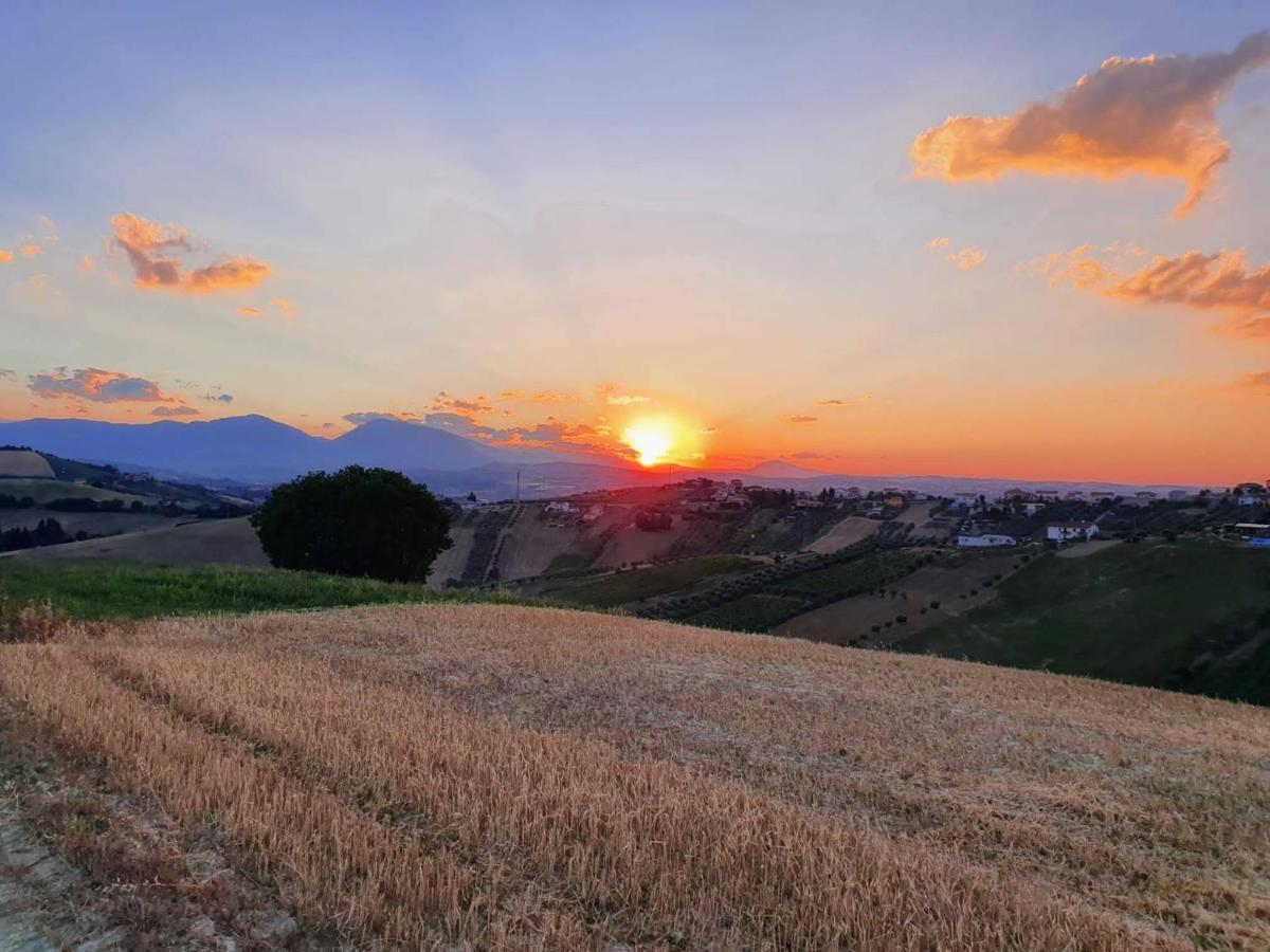 B&B Gli Amici Del Tubarello Roseto Degli Abruzzi Eksteriør bilde