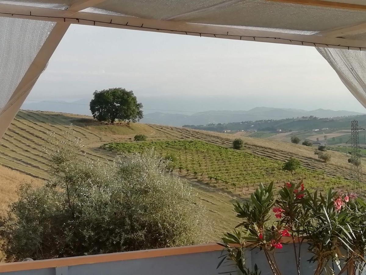 B&B Gli Amici Del Tubarello Roseto Degli Abruzzi Eksteriør bilde