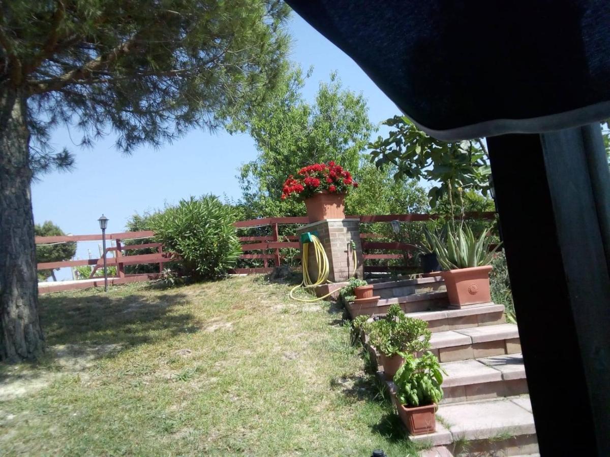 B&B Gli Amici Del Tubarello Roseto Degli Abruzzi Eksteriør bilde