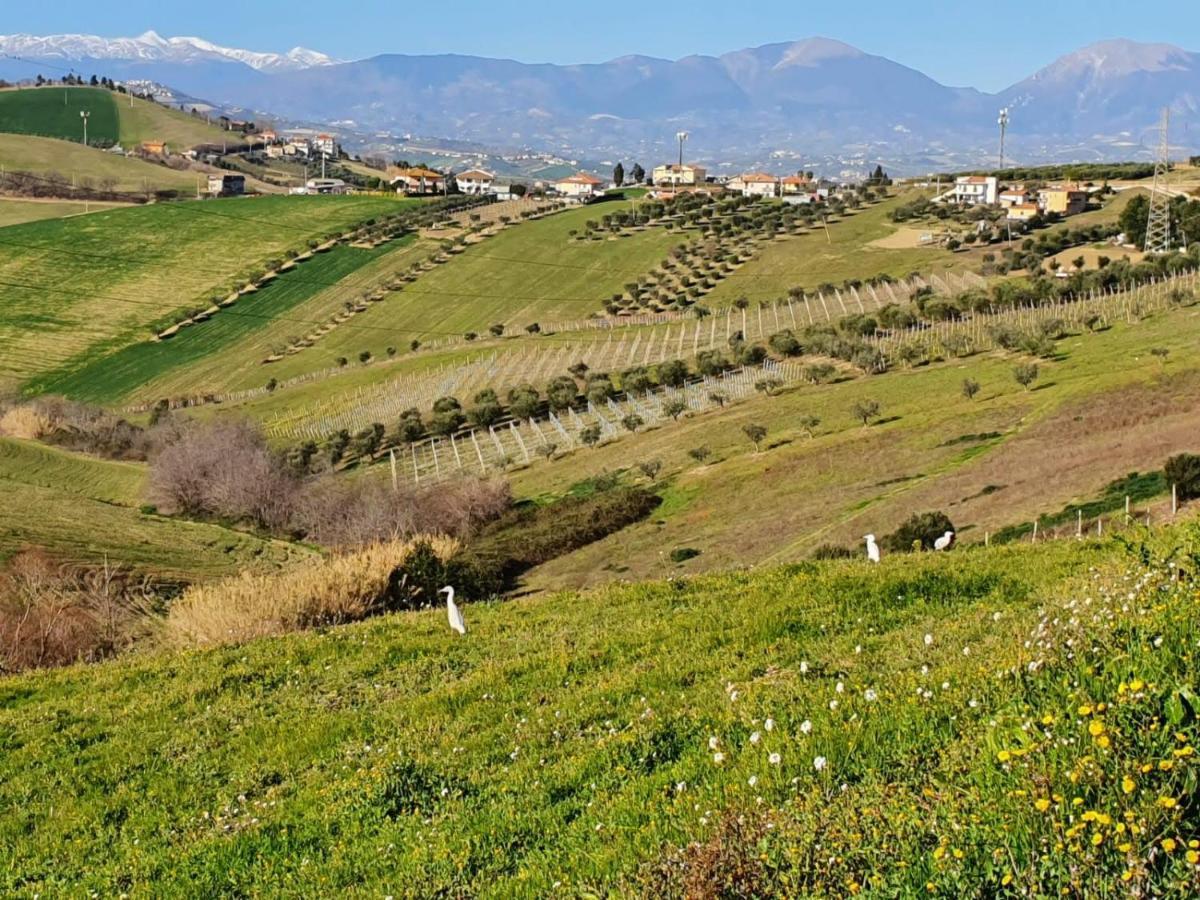 B&B Gli Amici Del Tubarello Roseto Degli Abruzzi Eksteriør bilde