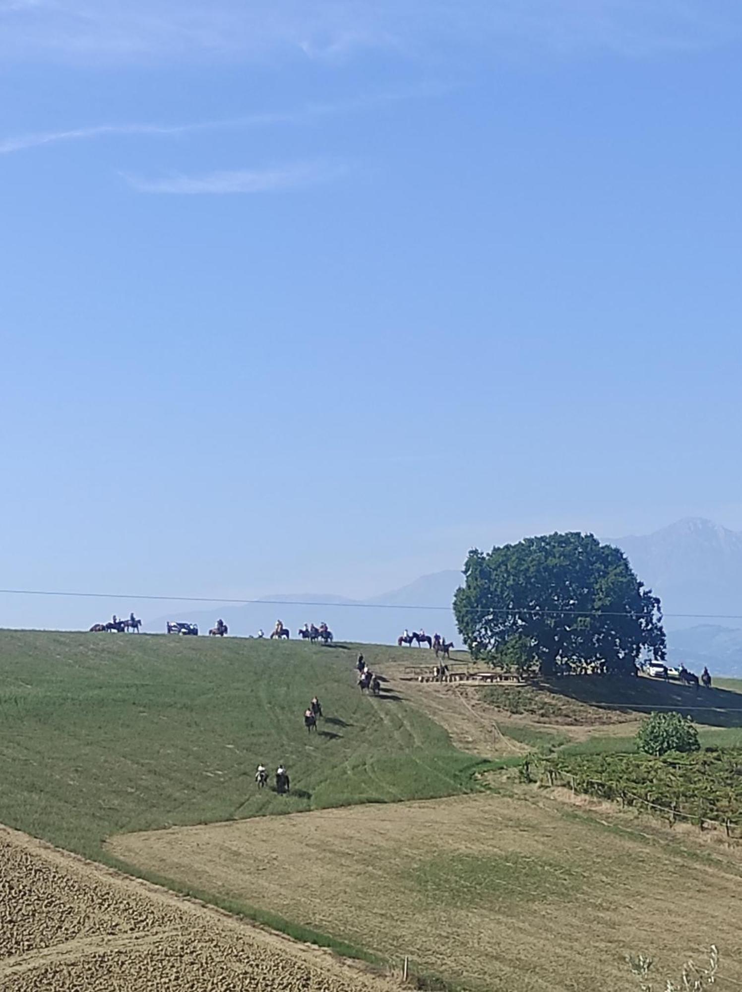 B&B Gli Amici Del Tubarello Roseto Degli Abruzzi Eksteriør bilde