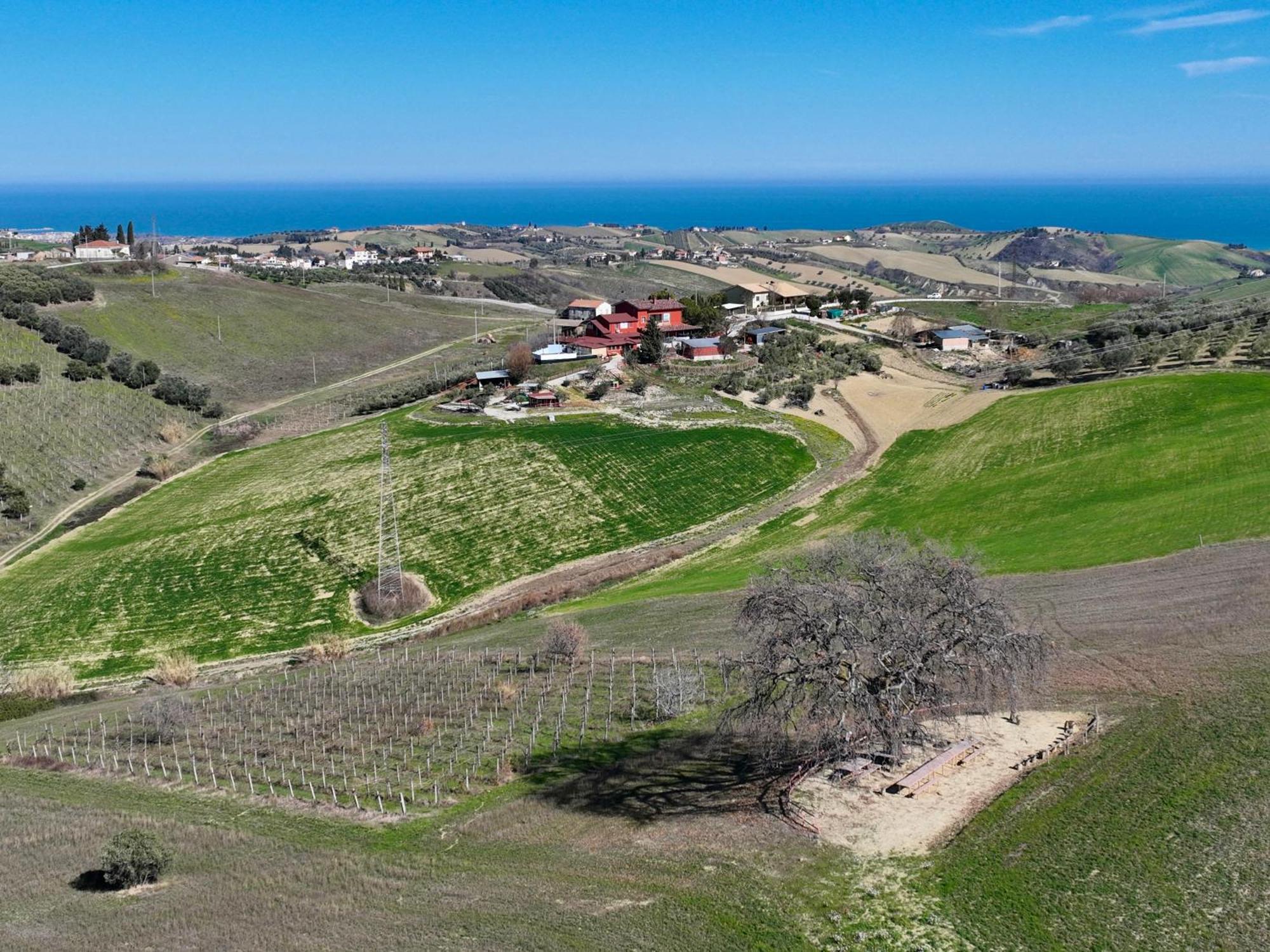 B&B Gli Amici Del Tubarello Roseto Degli Abruzzi Eksteriør bilde
