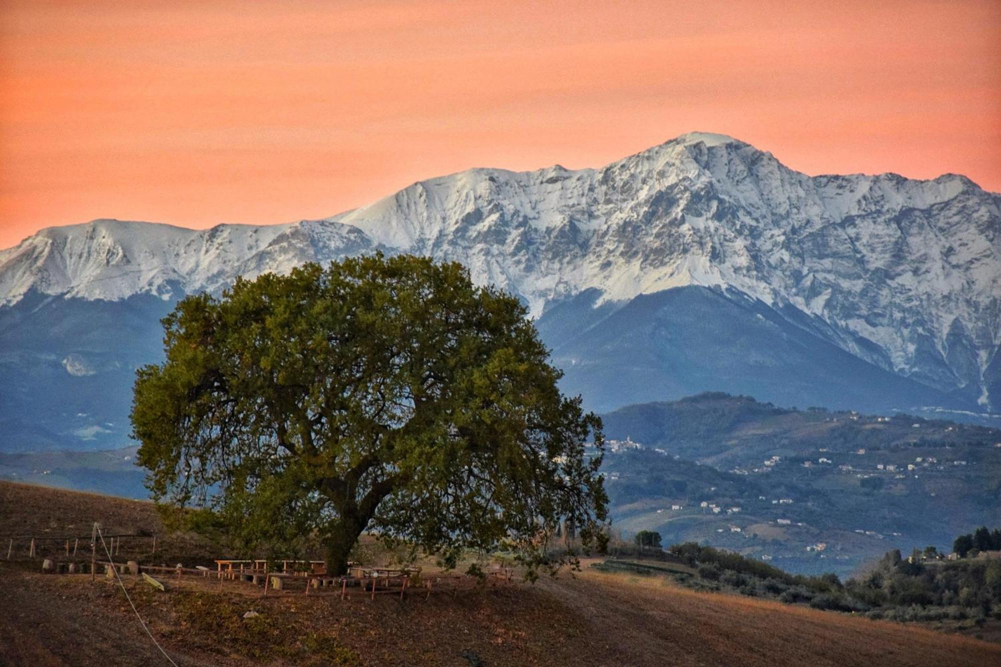 B&B Gli Amici Del Tubarello Roseto Degli Abruzzi Eksteriør bilde